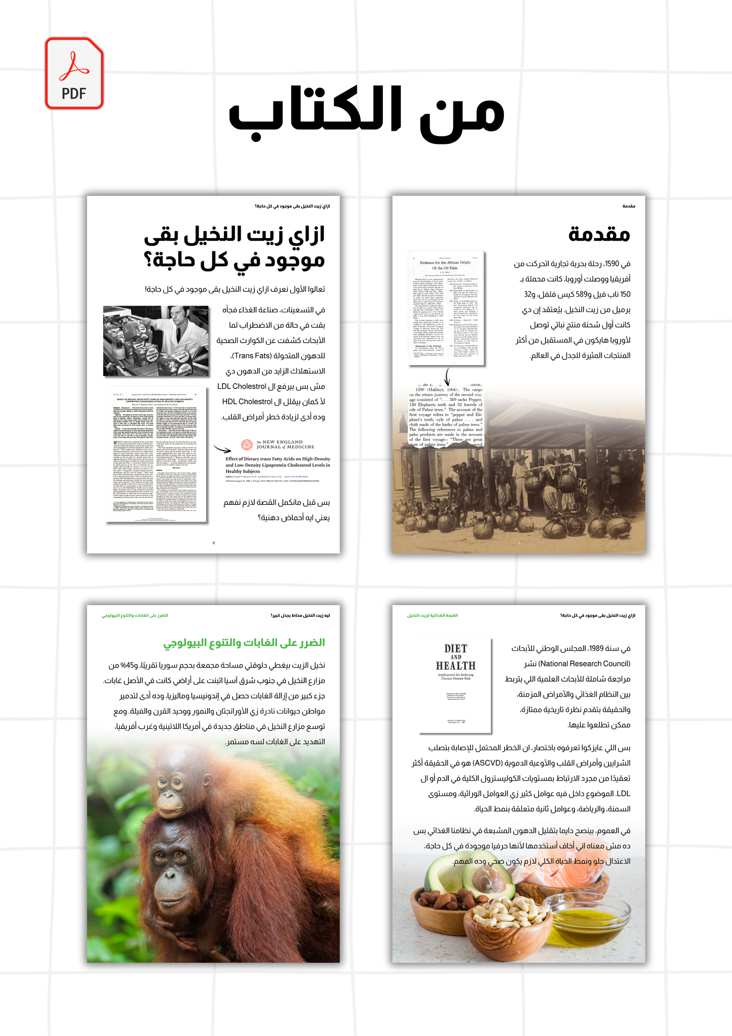 كتاب مجاني: ليه زيت النخيل موجود في كل حاجة وليه بنخاف منه؟