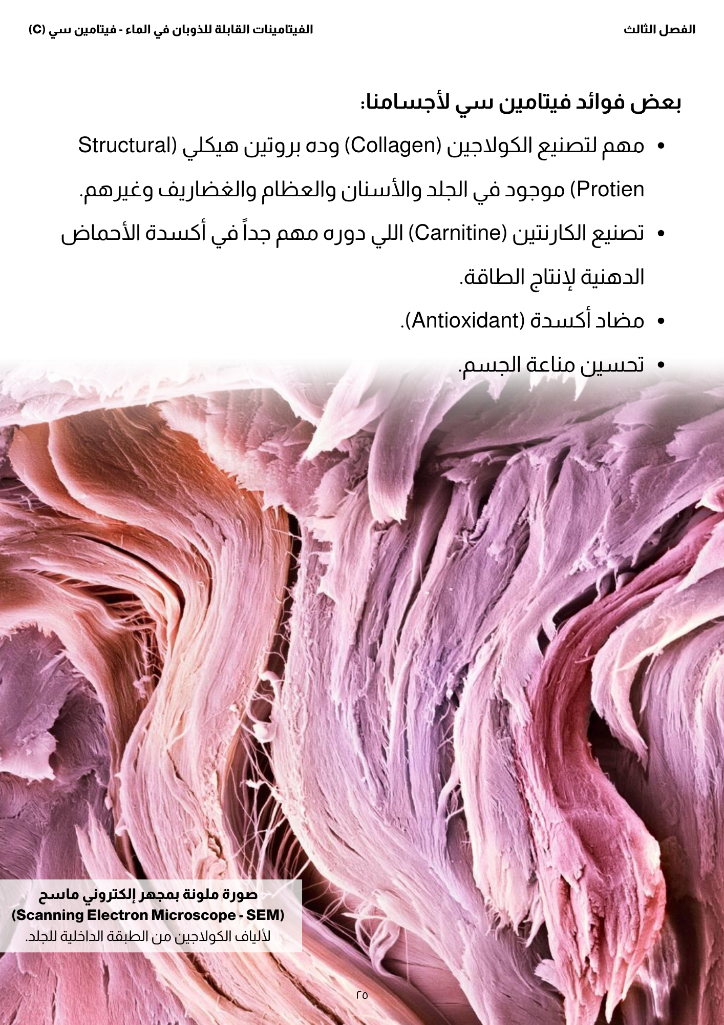 كتاب: إزاي أعمل دايت؟ - الجزء الثاني (الفيتامينات)