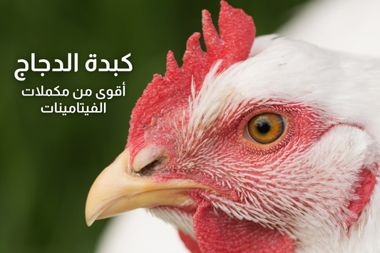 الكبدة مكمل فيتامينات طبيعي