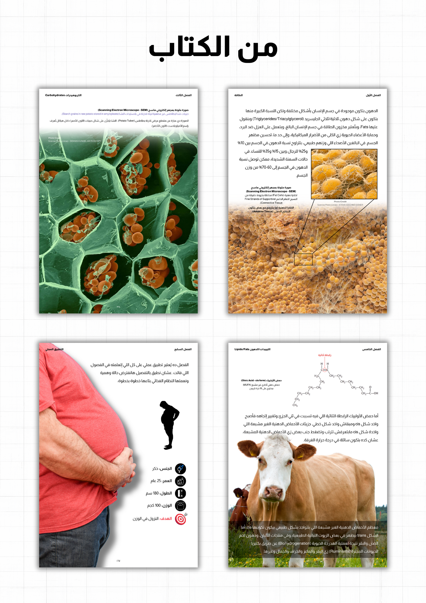كتاب: إزاي أعمل دايت؟ - الجزء الأول (العناصر الغذائية الكبرى)