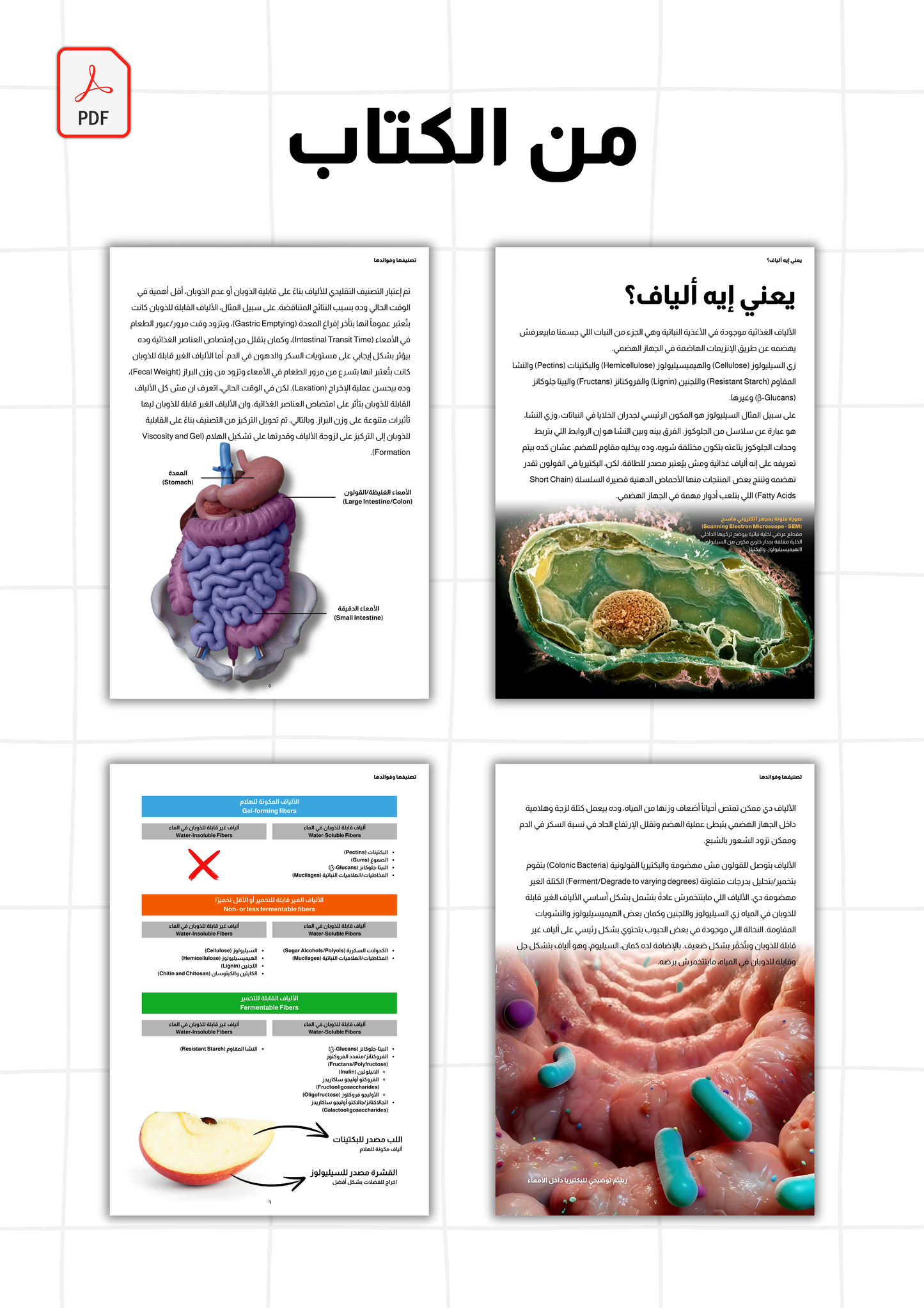 كتاب: الألياف الغذائية (أنواعها وفوائدها للجسم)