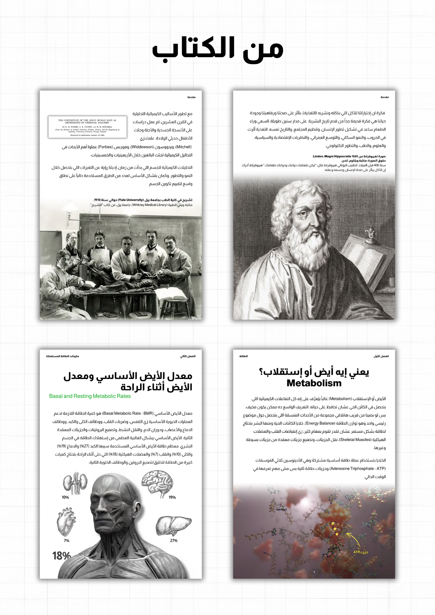كتاب: إزاي أعمل دايت؟ - الجزء الأول (العناصر الغذائية الكبرى)
